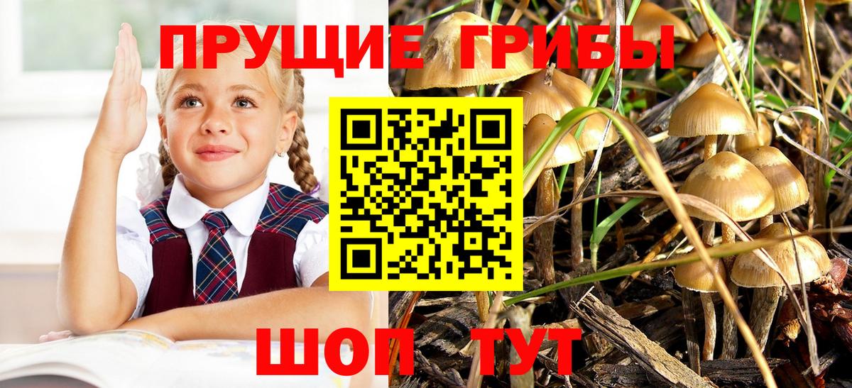Псилоцибиновые грибы ЛСД Северобайкальск
