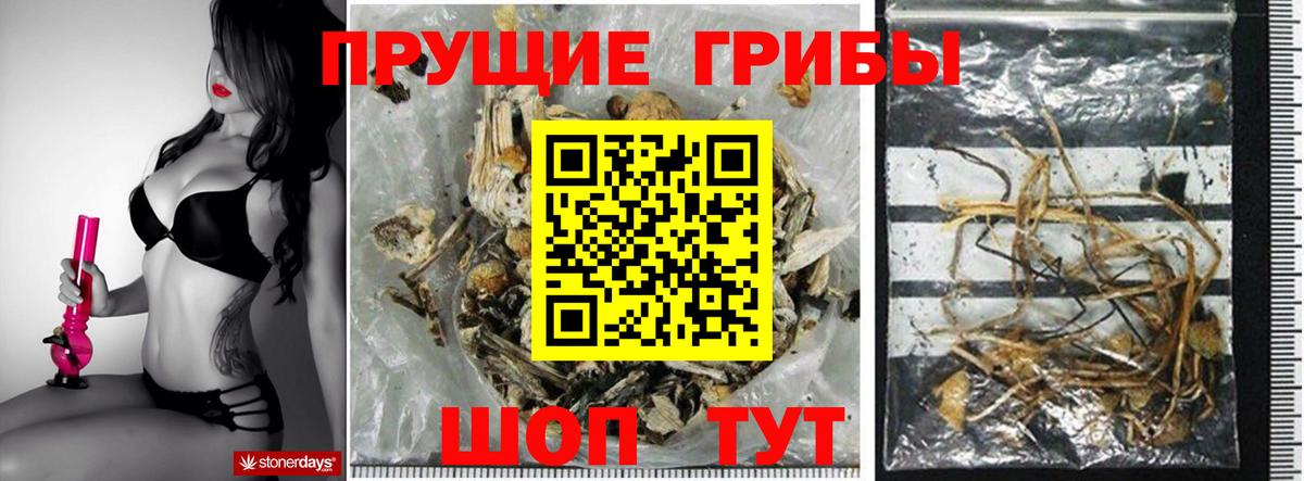 Северобайкальск  Псилоцибиновые грибы Magic Shrooms  Галлюциногенные грибы ЛСД  Вход с VPN 