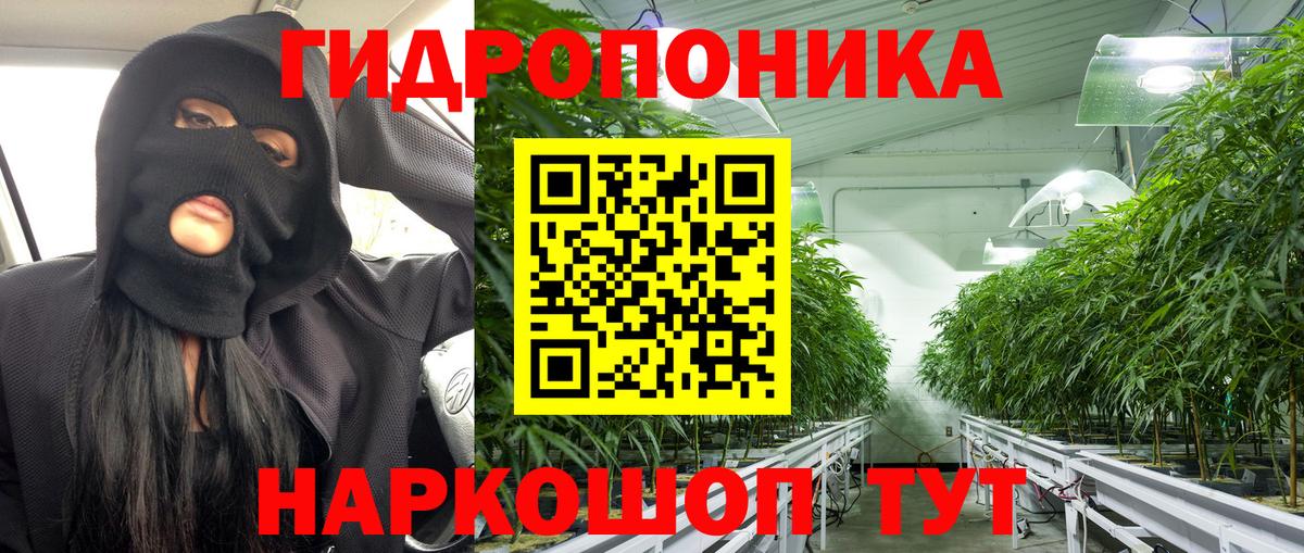 Конопля VHQ  Шишки марихуана VHQ  Вход с VPN  МАРИХУАНА THC 21%  МАРИХУАНА тримм  Северобайкальск 